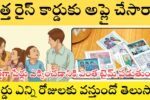 New Rice Card Approval Time Rules 2025